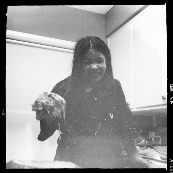 Hip 341541581.392122