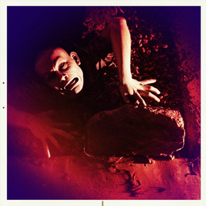 Hip 336628381.865293