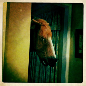 Hip 338948954.897740