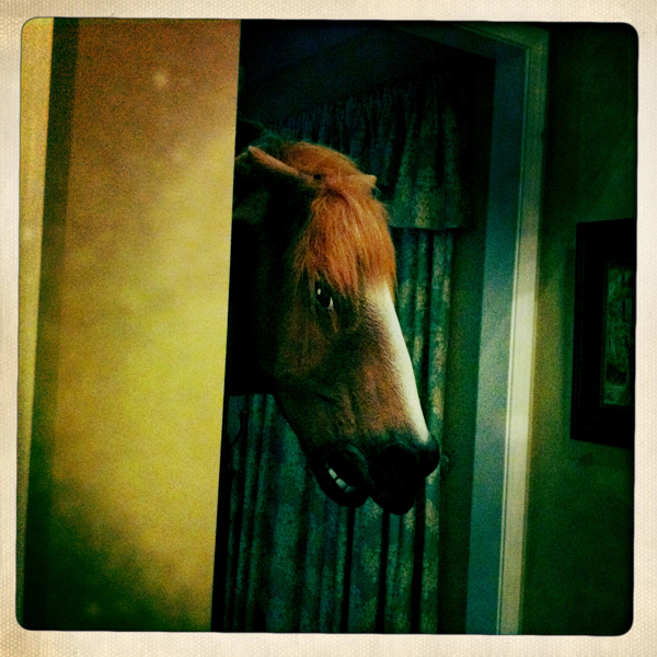 Hip 338948954.897740