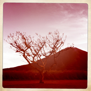 Hip 341048408.617388