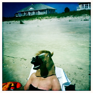 Hip 340993056.563077