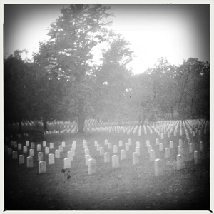 Hip 340319030.015526