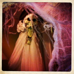 Hip 341538854.444011