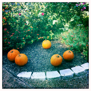 Hip 340469121.479687