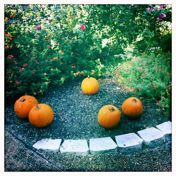 Hip 340469121.479687