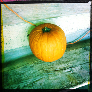 Hip 340470400.681194