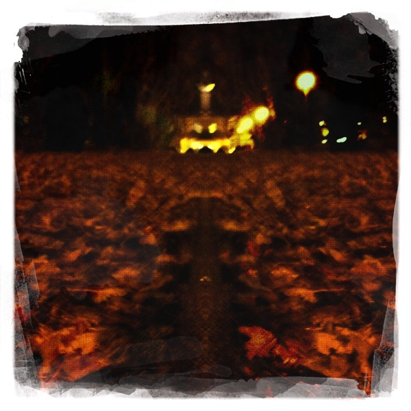 Hip 310705078.281320