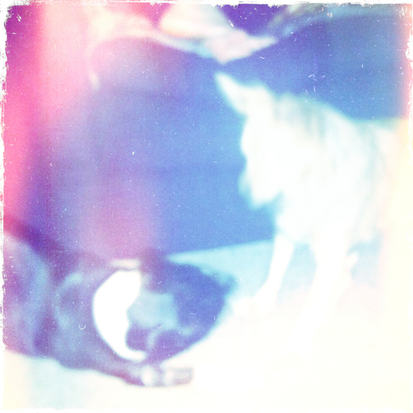 Hip 341549794.408972