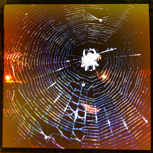 Hip 339772863.679281