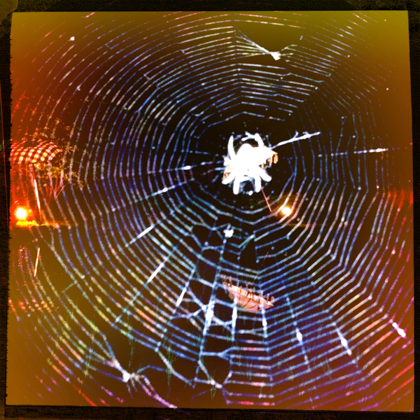 Hip 339772863.679281