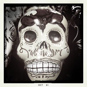 Hip 341543530.222261