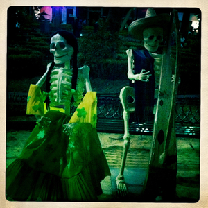 Hip 341548779.412443