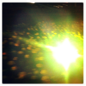 Hip 341543364.543828