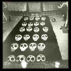 Hip 341548393.668918