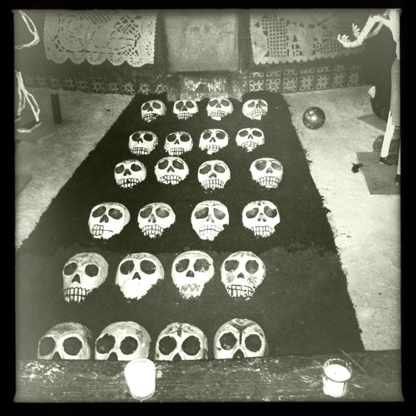 Hip 341548393.668918