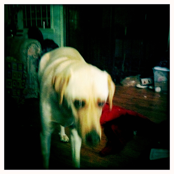 Hip 341555365.275863