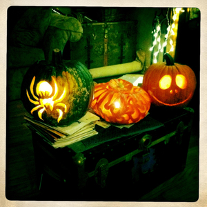 Hip 341556513.624118