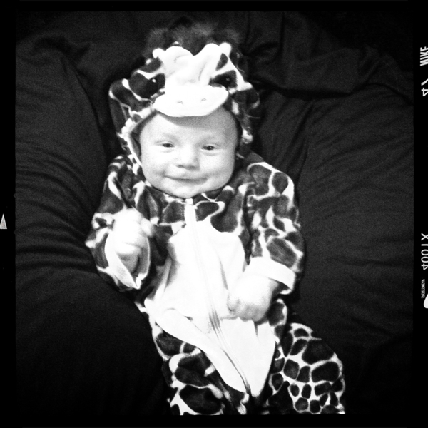 Hip 341558994.510527