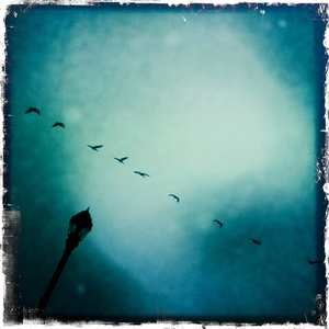 Hip 340237105.888881