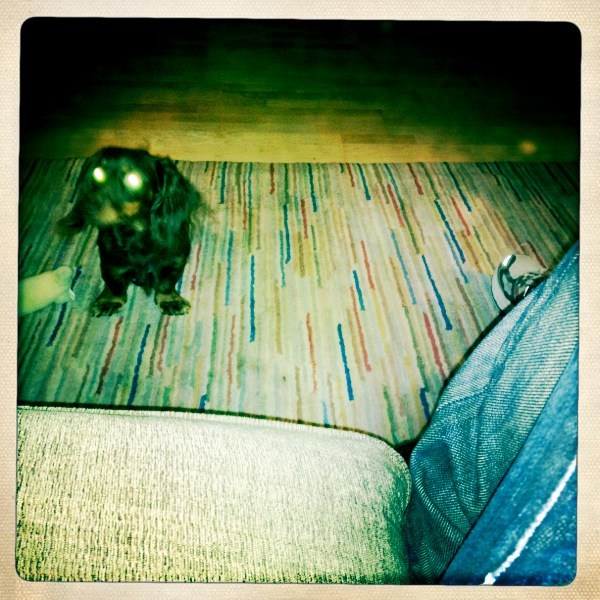 Hip 341456421.154511