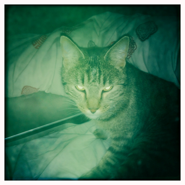 Hip 341018540.018764