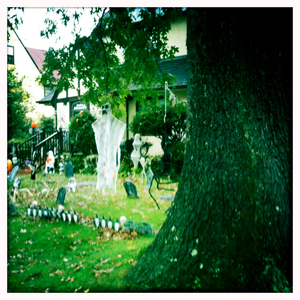 Hip 341433498.607844