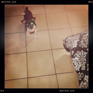 Hip 341568010.011095