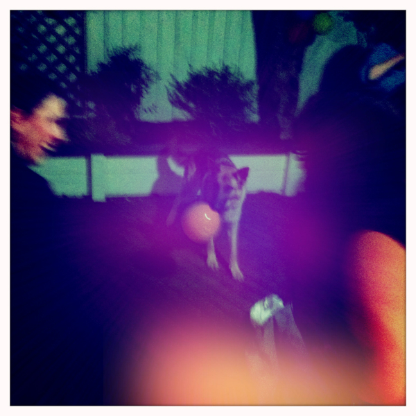 Hip 341570992.026464