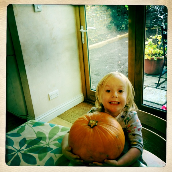 Hip 341574095.652474