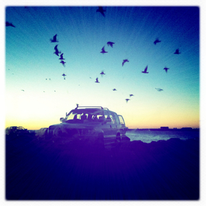 Hip 341492331.430428