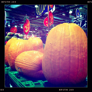 Hip 341583397.203354