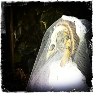 Hip 341576951.011182