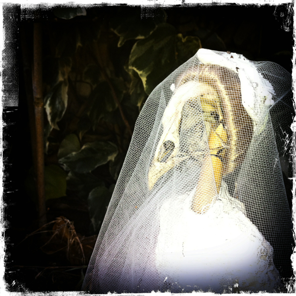 Hip 341576951.011182