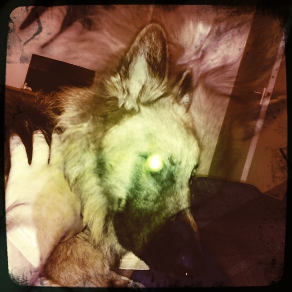 Hip 341584936.854214