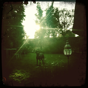 Hip 339176703.090097