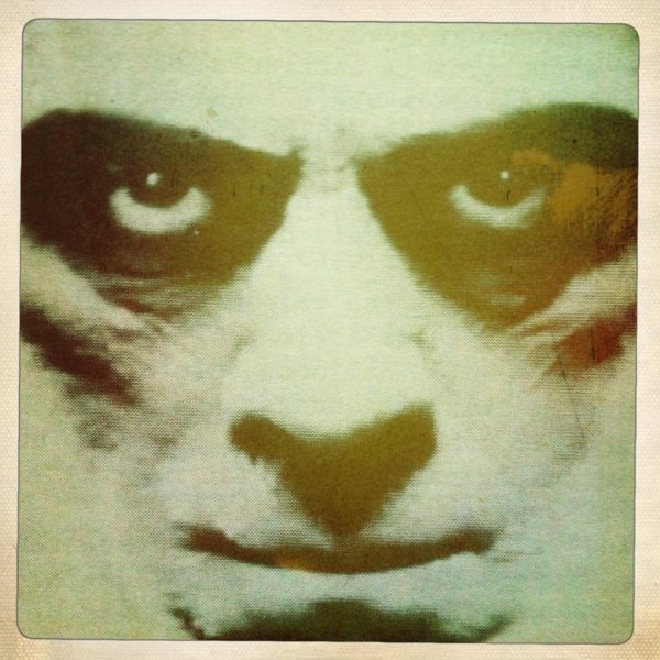 Hip 341585442.966655