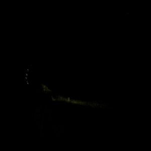 Hip 341586123.046461