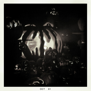 Hip 340417980.489482