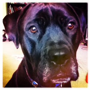 Hip 341593057.393759