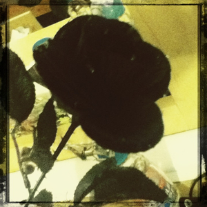 Hip 341594150.058481