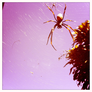 Hip 319850078.330442