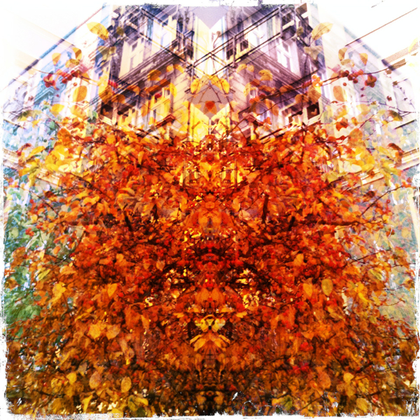 Hip 341595930.091340