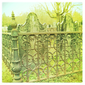 Hip 341587871.659036