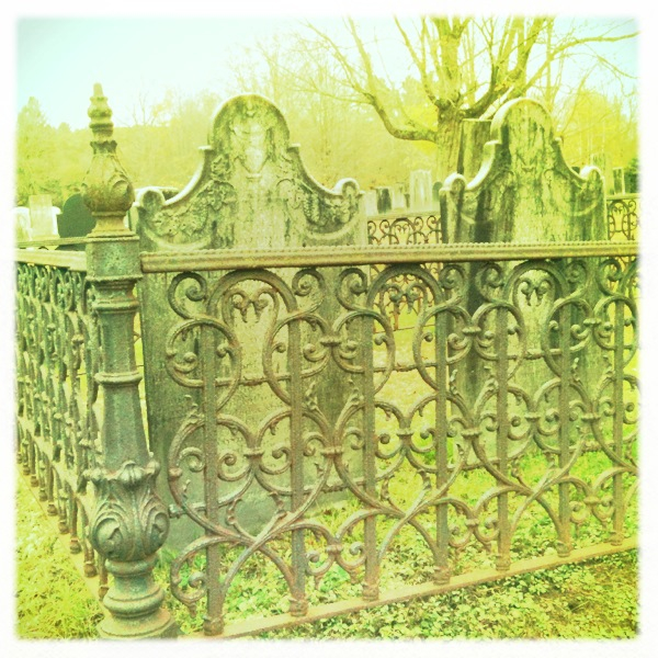 Hip 341587871.659036