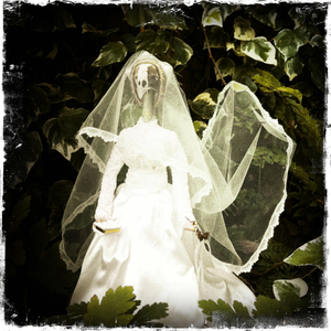 Hip 341581465.770936