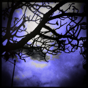 Hip 299625095.335777