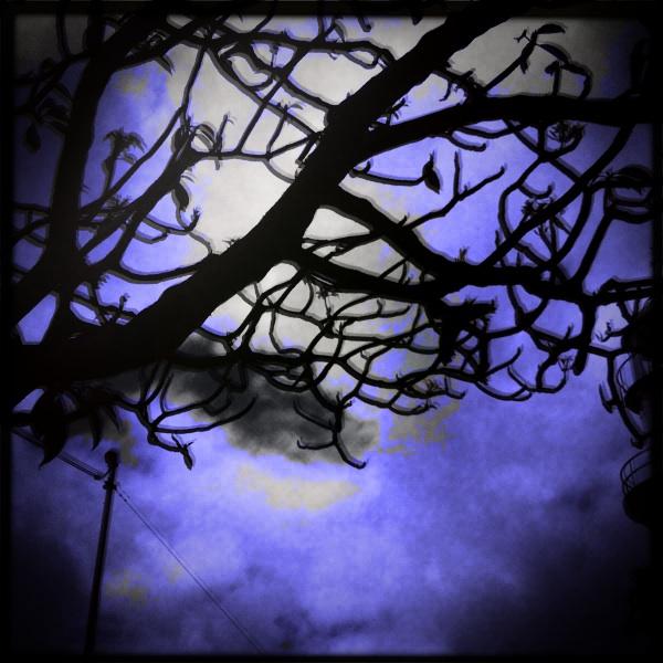 Hip 299625095.335777