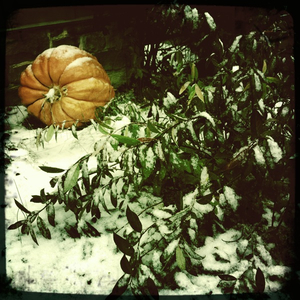 Hip 341596779.548732