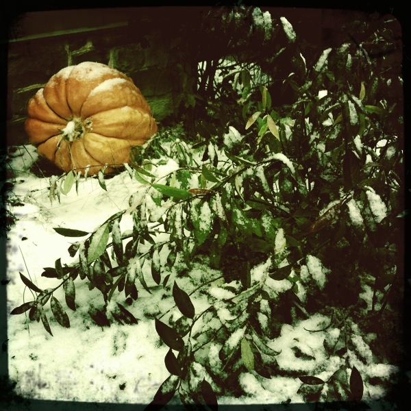 Hip 341596779.548732